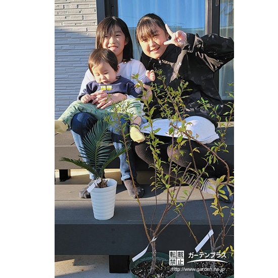 ユキヤナギ・ソテツと記念撮影③