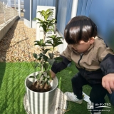 記念樹キンモクセイの植樹の様子