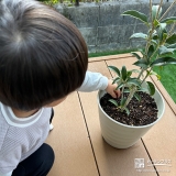 キンモクセイと記念撮影