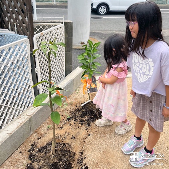 レモン・温州ミカンと記念撮影
