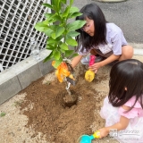記念樹の植樹の様子