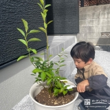 記念樹ブルーベリーの植樹の様子