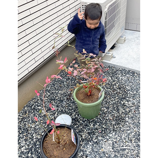 ブルーベリーと記念撮影③