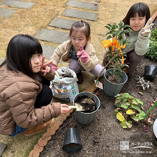 記念樹ハナミズキ・キンモクセイ・もみじ（カエデ）の植樹の様子