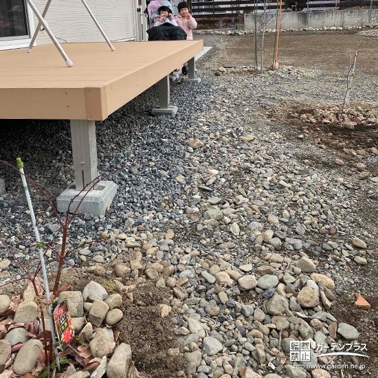 もみじ（カエデ）・ジューンベリーと記念撮影