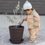 記念樹オリーブの植樹の様子①