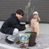 記念樹オリーブの植樹の様子②