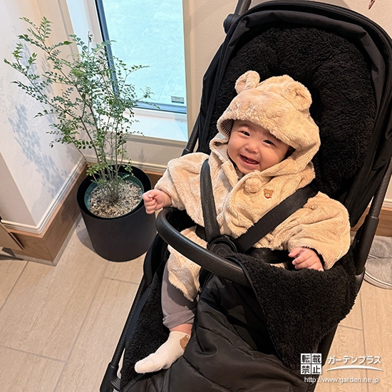 シマトネリコと記念撮影②