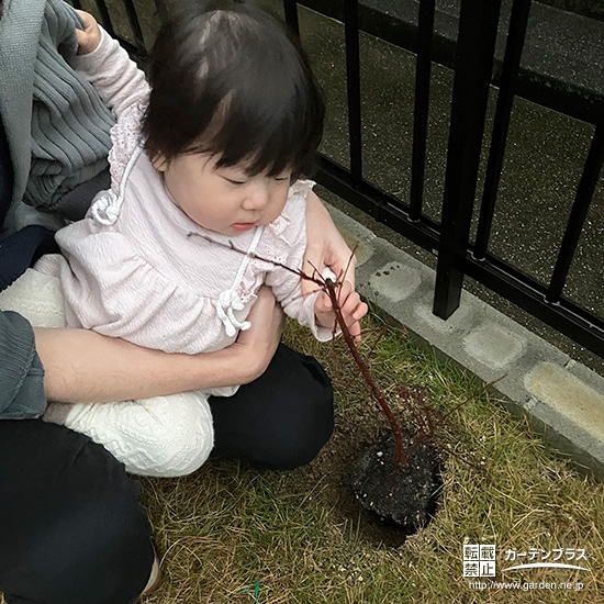 もみじ（カエデ）と記念撮影②