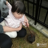 もみじ（カエデ）と記念撮影②