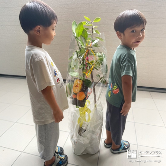 カキ・温州ミカンと記念撮影①