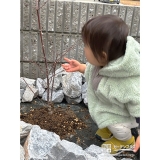 もみじ（カエデ）と記念撮影①