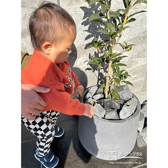 キンモクセイと記念撮影②