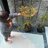 ナンテン・シマトネリコと記念撮影