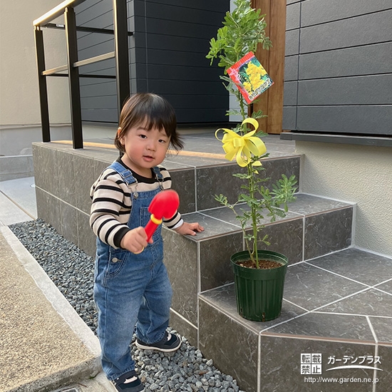 ミモザと記念撮影①