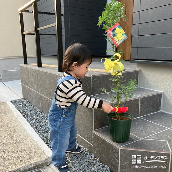 ミモザと記念撮影②