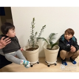 ソテツ・オリーブと記念撮影