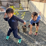 レモン・温州ミカンと記念撮影