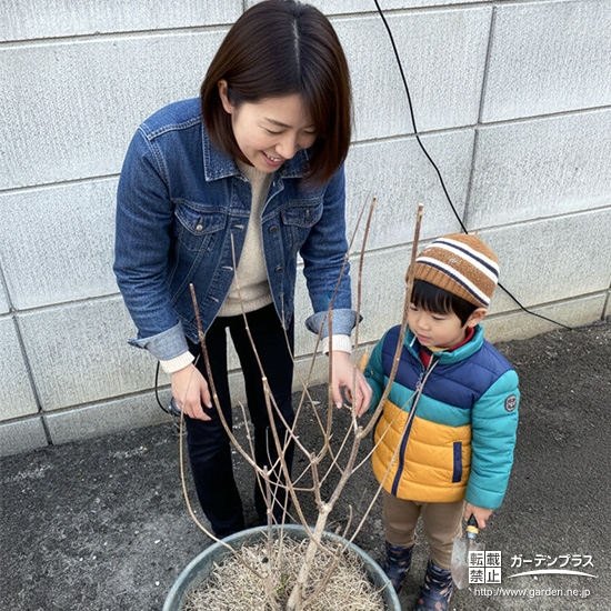 セイヨウニンジンボクと記念撮影