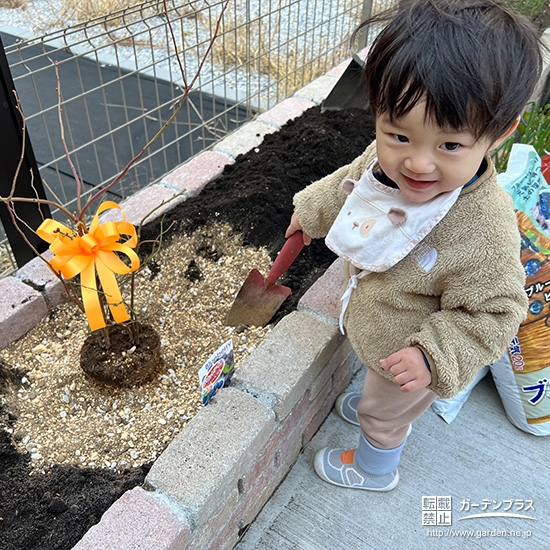 記念樹ブルーベリーの植樹の様子①