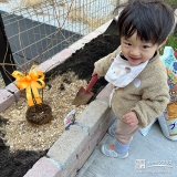 記念樹ブルーベリーの植樹の様子①