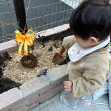 記念樹ブルーベリーの植樹の様子②