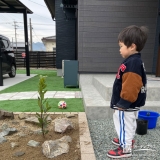 月桂樹（ローリエ）と記念撮影