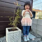 シマトネリコと記念撮影