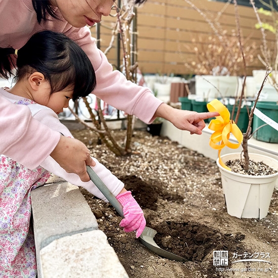 記念樹ユキヤナギの植樹の様子②