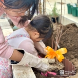 記念樹ユキヤナギの植樹の様子③