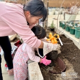 記念樹ユキヤナギの植樹の様子④