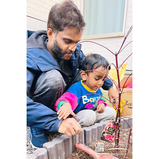 記念樹もみじ(カエデ)の植樹の様子②