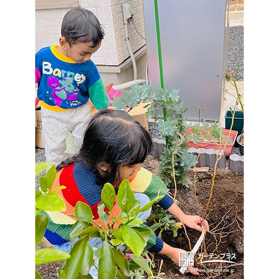 記念樹ブルーベリーの植樹の様子③