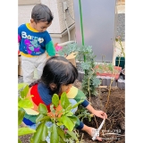 記念樹ブルーベリーの植樹の様子③