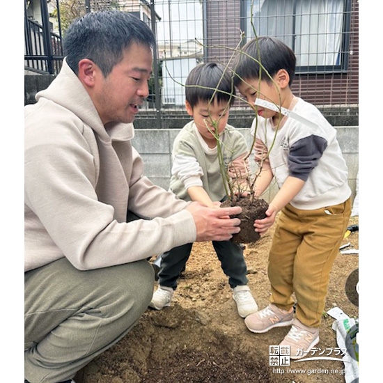 記念樹ブルーベリーの植樹の様子