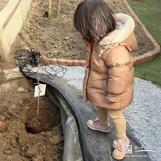 記念樹の植樹の様子①