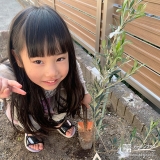 記念樹オリーブの植樹の様子①