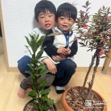 ローリエ（月桂樹）・ナンテンと記念撮影①