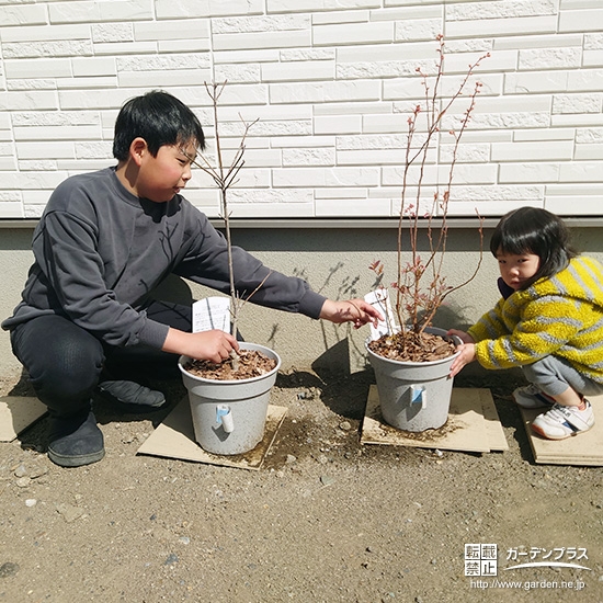 ハナミズキ・ブルーベリーと記念撮影②