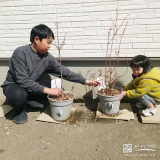 ハナミズキ・ブルーベリーと記念撮影②