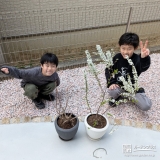 バイカウツギ・ユキヤナギと記念撮影