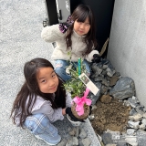 記念樹オリーブの植樹の様子