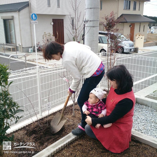 京都府木津川市ジューンベリーの植樹風景