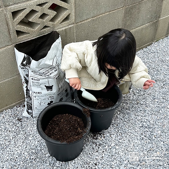 記念樹植樹の様子