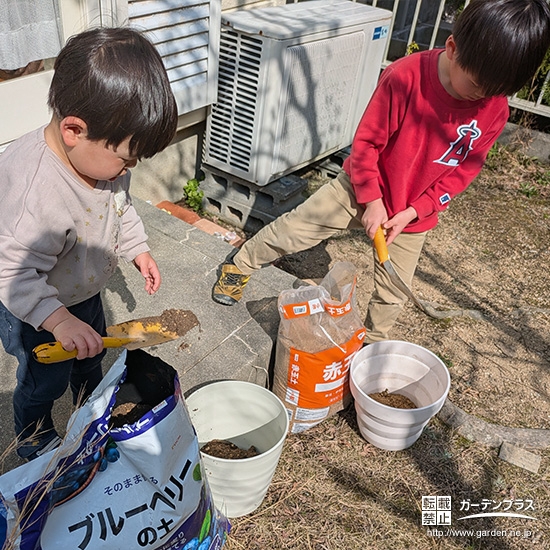 記念樹植樹の様子