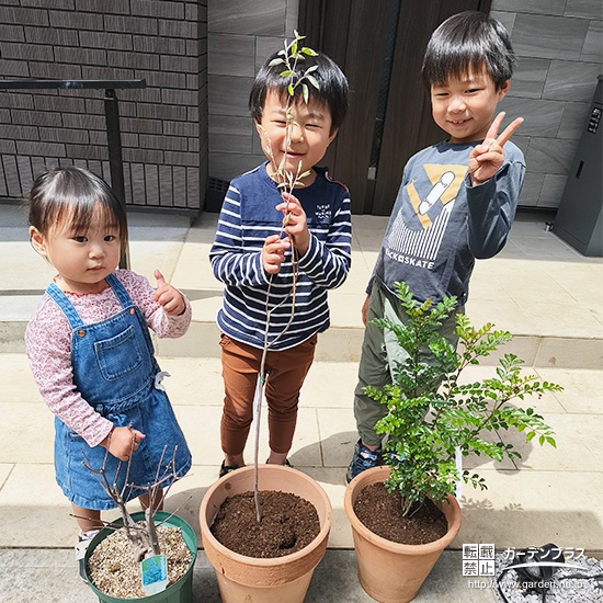 ジューンベリー・セイヨウニンジンボク・シマトネリコと記念撮影