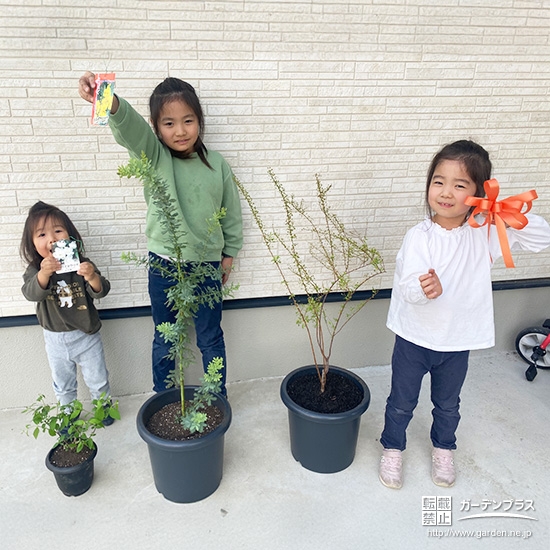 バイカウツギ・ミモザ・ユキヤナギと記念撮影