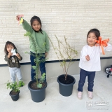 バイカウツギ・ミモザ・ユキヤナギと記念撮影