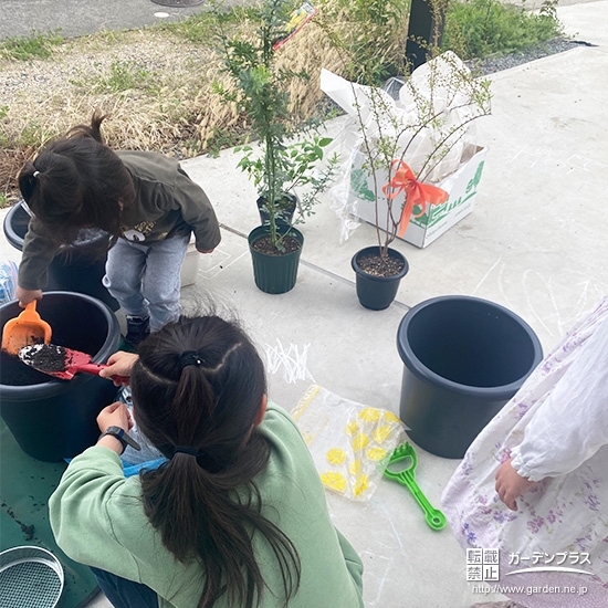 記念樹バイカウツギ・ミモザ・ユキヤナギの植樹の様子