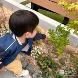 ビバーナムティヌス・バイカウツギと記念撮影①